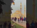 Islamic viral trending youtubeshorts islamic info 50