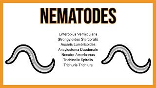 Nematodes (INTESTINAL parasites)