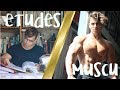 ETUDES ET MUSCULATION