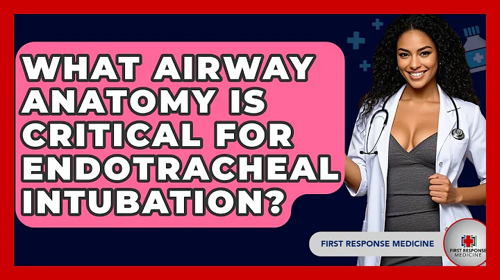 What Airway Anatomy Is Critical For Endotracheal Intubation? - First Response Medicine