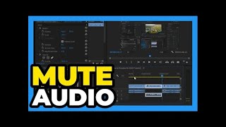 Premiere Pro CC： How to Mute Part of Audio screenshot 3