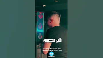 Cheb Amine Tiger 2024 N3tiha F Zawra9 معليش لابغا نغرق 