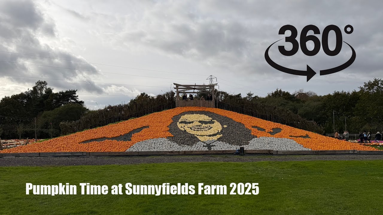 Pumpkin Time at Sunnyfields Farm - 360° video