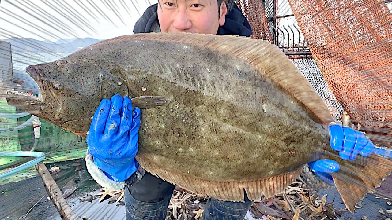 [Шокирующее видео] Была поймана рыба стоимостью 10 000 иен.