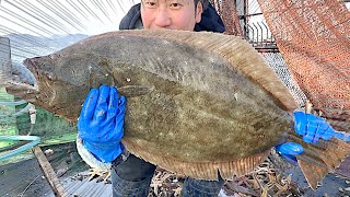 [Shocking video] A fish worth 10,000 yen was caught.