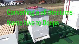 Converting Mediums hive to deeps