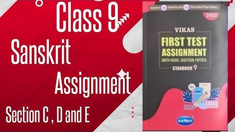 Class 9 Sanskrit | Vikas First Test Assignment 2025 Sanskrit Section C , D and E | English Medium