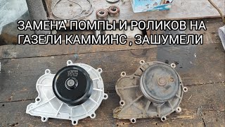 ЗАШУМЕЛИ РОЛИКИ И ПОМПА НА ГАЗЕЛИ КАММИНС