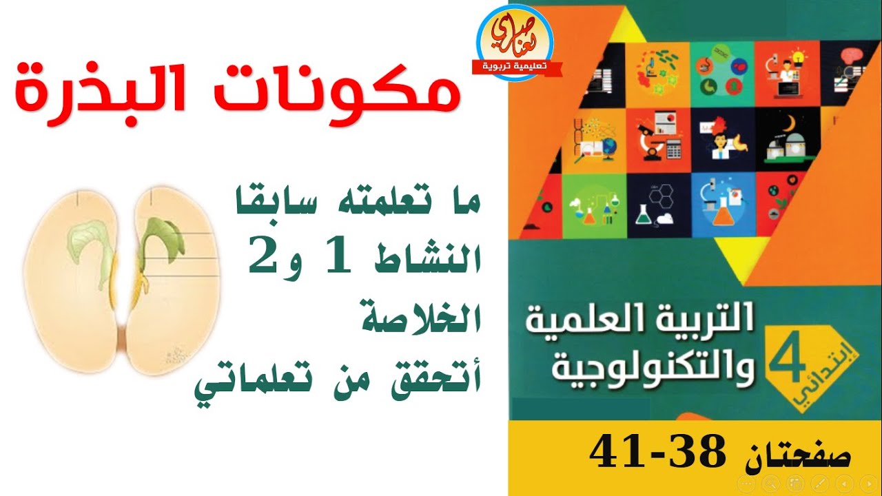 مكونات البذرة للسنة الرابعة ابتدائي