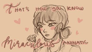 That's How You Know - Miraculous Ladybug Animatic