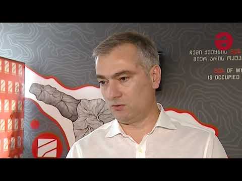 „ვფიქრობ, რომ ია კიწმარიშვილის განცხადება მომზადებულია სამართლებრივი კონსულტაციის გავლის გარეშე“