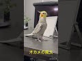 2024.12.24 メリクリドヤ♪今日も絶好調♪