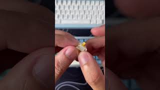 SWITCH BSUN DRAKLET - SOUNDTEST #keyboard #keycaps #mechanicalkeyboard #switchreview