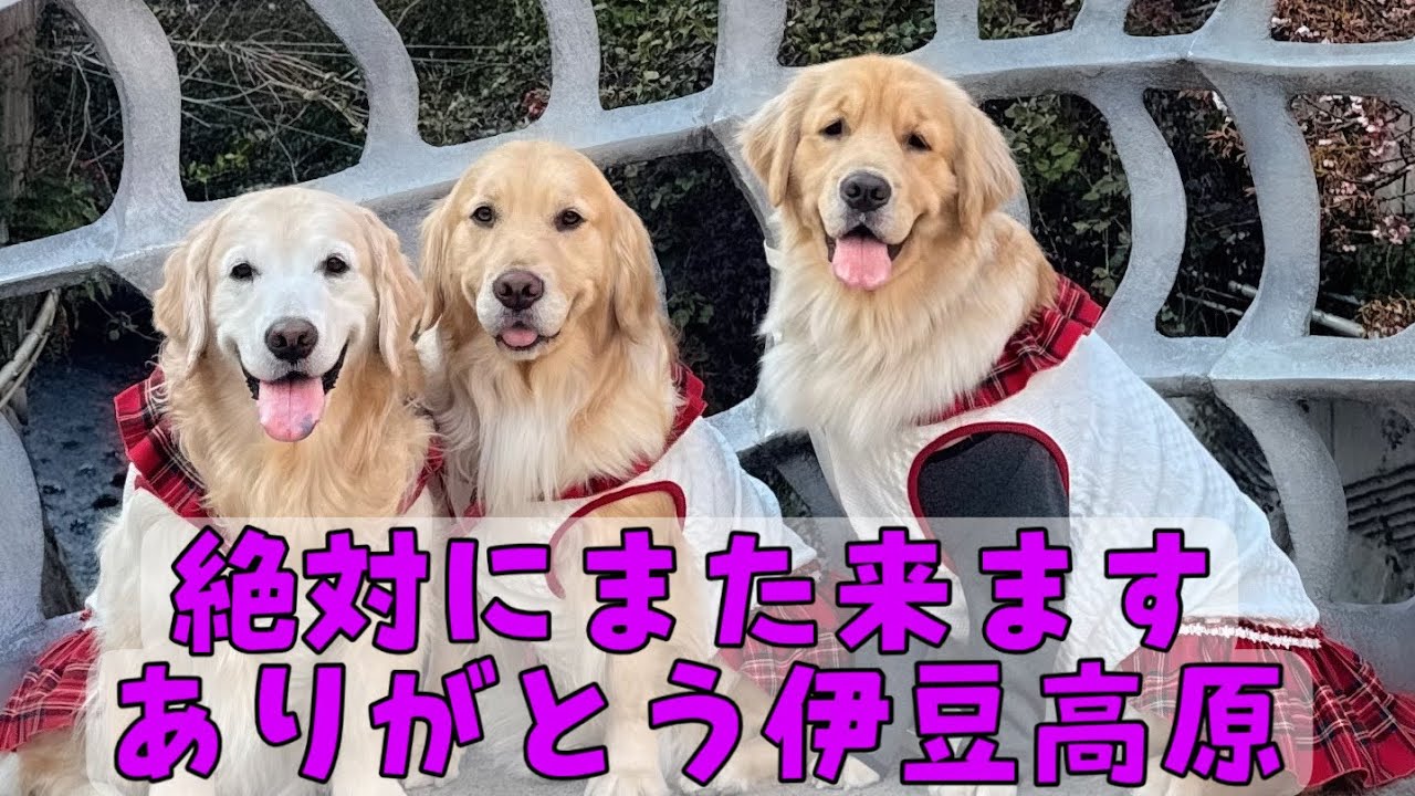 【お邪魔旅 完】絶対にまた来ます！ありがとう伊豆高原