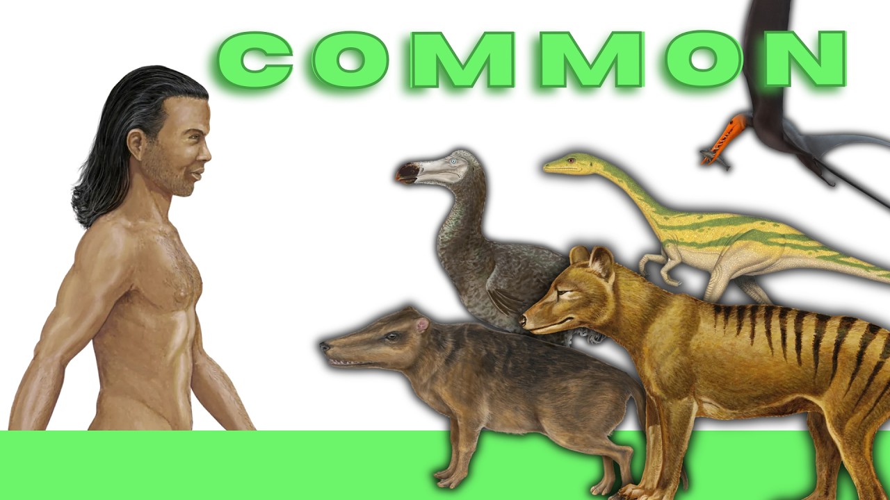 Common Rairty Prehistoric Rarity Animals Size Comparison(common) - YouTube
