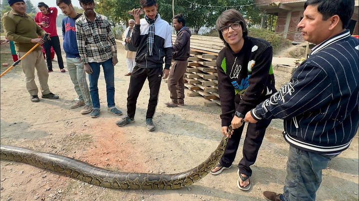 Etna Bada Snake 😲 Phli Baar Dekha