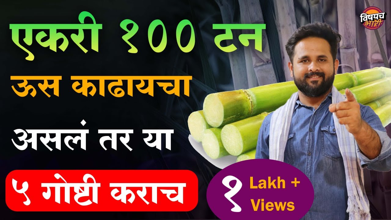 या ५ गोष्टी करा मग एकरी 100 टन ऊस नाय निघाला तर बोला | ऊस लागवड | Us Lagwad  | Sugarcane Farming