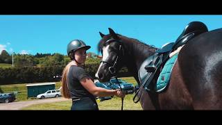 Dandy Am Reitturnier Mit Pferd Ins Wasser Dandylearns