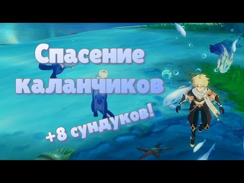 🦦 Спаси всех