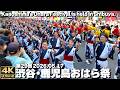 [4K]🇯🇵 第29回 渋谷・鹿児島おはら祭 渋谷の街で踊りまくる！2026 / Japanese Dancing in the streets of Shibuya, Tokyo, Japan.