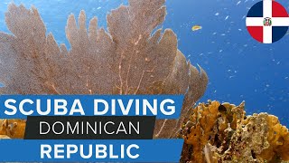 Download Lagu Scuba Diving in the Dominican Republic w/@GoDominicanRepublic MP3 Download Lagu Scuba Diving in the Dominican Republic w/@GoDominicanRepublic MP3
