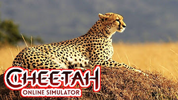 The Cheetah: Online RPG Animal Simulator - Gameplay Walkthrough Part 19 (iOS, Android)