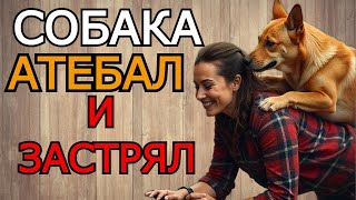 картинка: ЖЕНА ЗАБЫЛА ЗАКРЫТЬ ДВЕРЬ В ВАННУЮ И ТУТ ЗАШЁЛ Я