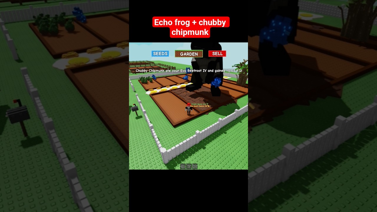 Я ИСПОЛЬЗОВАЛ ЭХО-ЛЯГУШКУ И СВЕКЛУ, ЧТОБЫ НАКОРМИТЬ ПУЧОГО БУРУНДУКА 