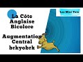 Mini tuto  cte anglaise bicolore augmentation centrale brkyobrk