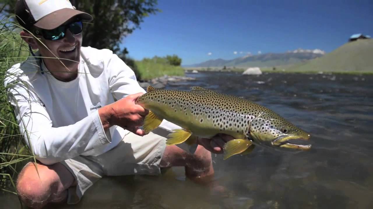 2013 Fish REEL fly fishing Montana YouTube