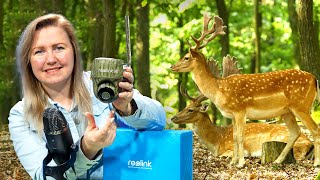 Wildlife Surveillance: Reolink Go Ranger Pt Camera Unboxing And Setup