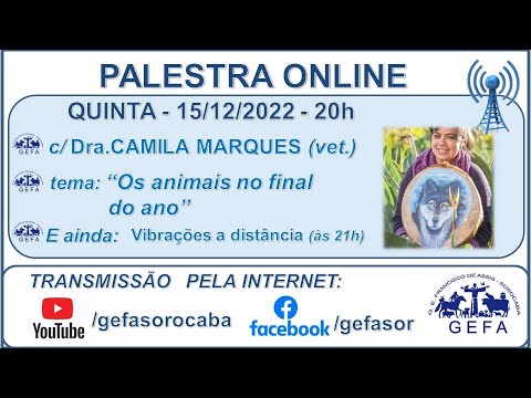 Assista: Palestra Online - c/ CAMILA MARQUES (15/12/2022)