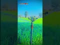 जमींदार साहब।।#viral #viralshort #ashokrajofficial #love
