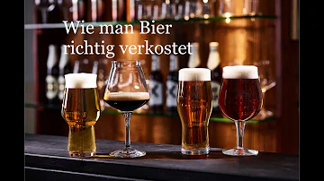 Wie degustiert man Bier richtig?