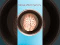 5 Brain facts you didn't know #facts #top5 #bigfacts #factfinder #coldfacts #factbook  #viral