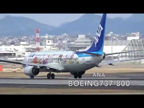 伊丹スカイパーク　東北FLOWER JET 離陸