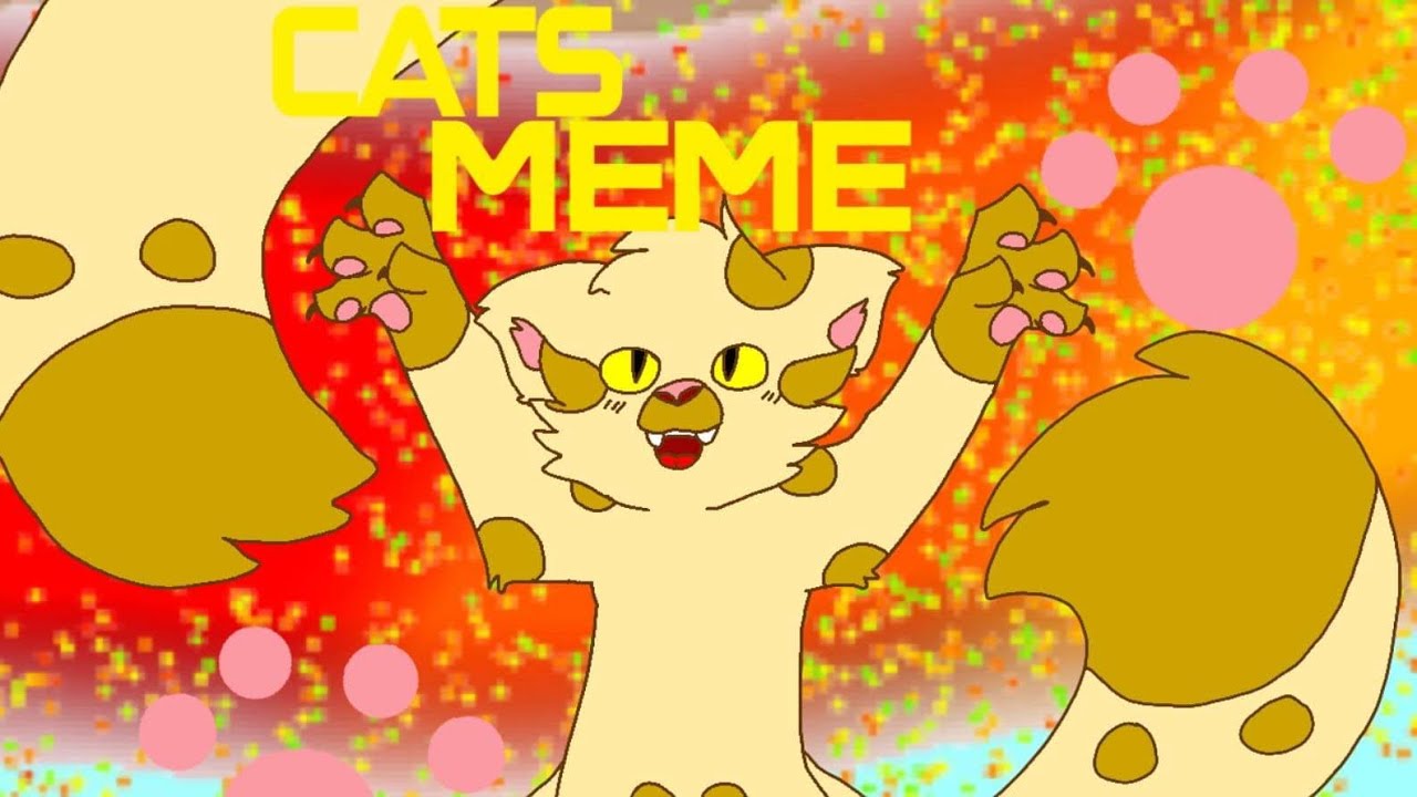 Cats Meme YouTube cats-meme-youtube