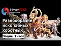 Разнообразие вымерших хоботных | Лекции по палеонтологии – палеонтолог Вадим Титов | Научпоп