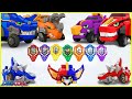 Dino Trainers S1 Compilation [02-05] | Dinosaurs for Kids | Trex | Cartoon | Toys | Robot | Jurassic