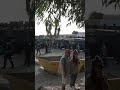 🚨 DESALOJAN LA PLAYA DE EL TRAMPOLÍN EN CEUTA