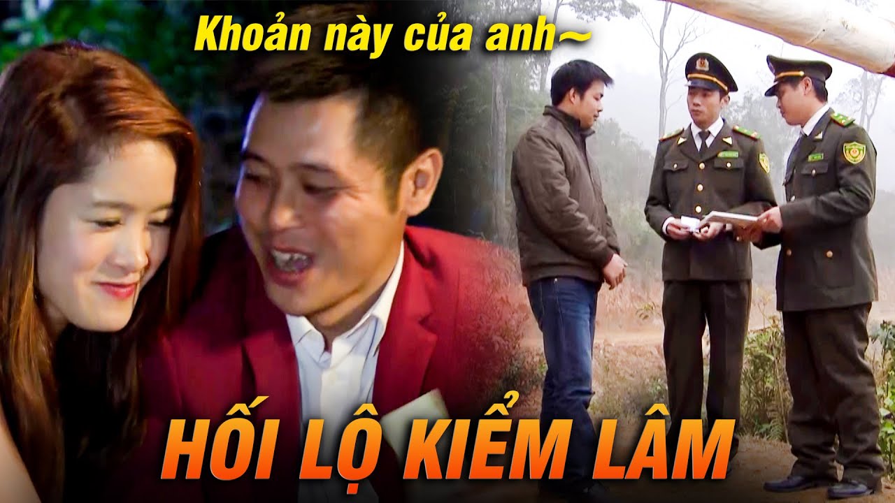 Lâm tặc ngang nhiên HỐI LỘ KIỂM LÂM BIẾN CHẤT để dễ bề KHAI THÁC GỖ LẬU | Khi đàn chim trở về | VTV