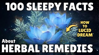 The Most Relaxing Facts About Herbal Remedies to Fall Asleep To | Somnus Sleepy Science