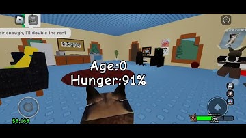 raise a floppa 2 part 1 auto clicker yippe