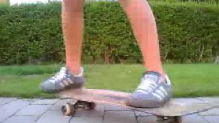 Mark Laver Skater Trick 2
