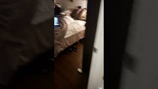 Preview 2 Stuff V109