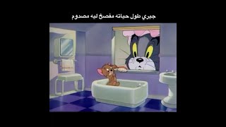 رياكشن جيري يصارخ بالحمام من توم 😂😂😂😂😂