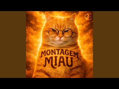 MONTAGEM MIAU MIAU 