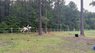 IMG 3790
