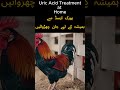     یورک ایسڈ کم کرنے والی غذائیں       
