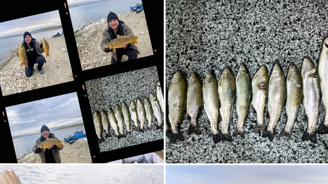 🧿 Sazan ve Alabalık Bereketi  #fishing #keşfet #shortvideo  #troutfishing #alabalıkavı #reels #carp 